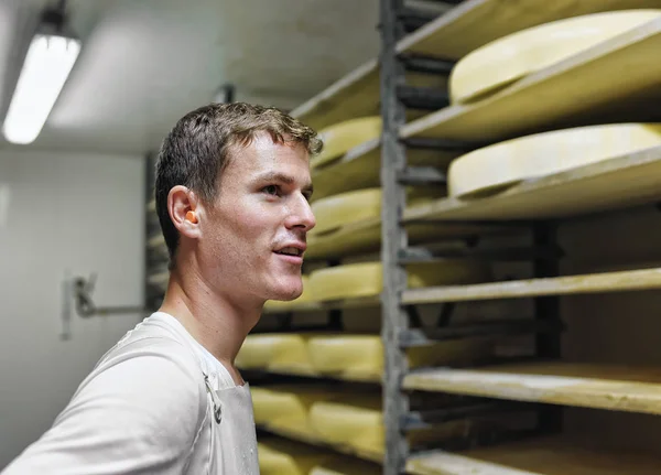 Dělník a zrání sýr v dozrávání sklep Franche Comte mléčné — Stock fotografie