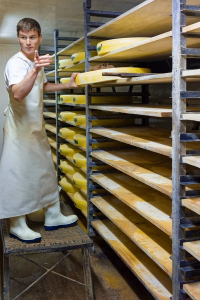 Lavoratore in cantina con stagionatura Conte Cheese in cremosa — Foto Stock