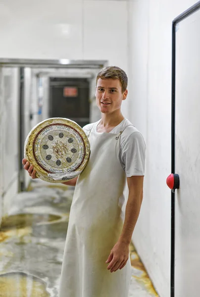 Lavoratore tiene una ruota di formaggio al magazzino — Foto Stock