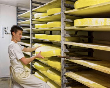 Kiler Conte peynir süthane, yaşlanma ile olgunlaşma, işçi