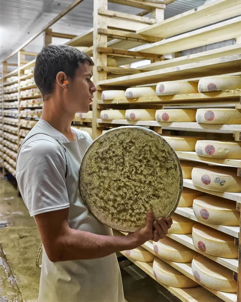 Arbetstagare som innehar Gruyere de Comte ost dagbok — Stockfoto