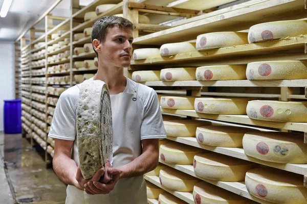 Lavoratore che tiene Gruyere Comte Cheese nel diario — Foto Stock