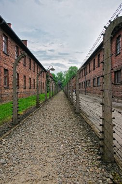 Dikenli tel ve Auschwitz toplama kampında barakalarda