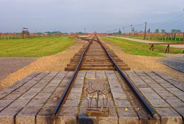 Auschwitz Birkenau toplama kampındaki tren yolu.