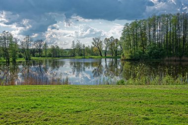 Ağaçlar ve gökyüzü Bialowieza Ulusal Parkı 'ndaki gölde aynalanmış.
