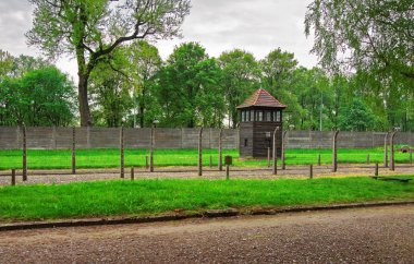 Kule Auschwitz toplama kampı izle