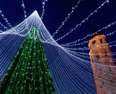 Noel ağacı ve katedral çan Vilnius geceleri