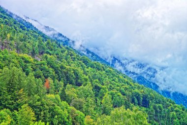 Panorama with Brienzer Rothorn mountain Brienz in Bern in Switzerland