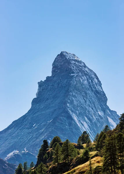 Matterhorn montanha e floresta verde suíço — Fotografia de Stock