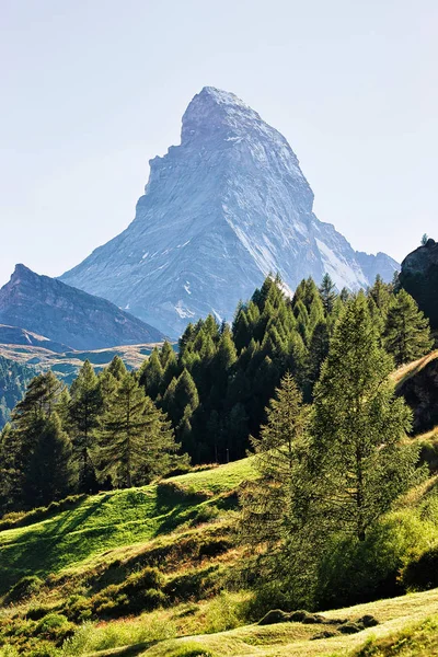 Matterhorn montaña y bosque verde en Zermatt de Suiza — Foto de Stock