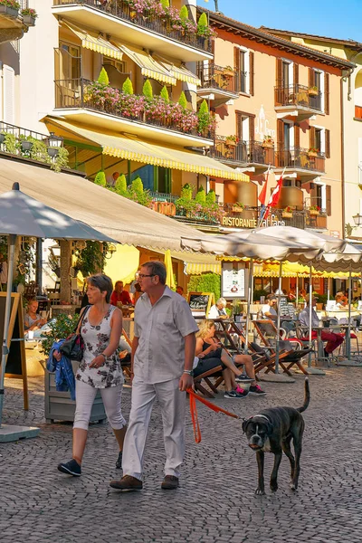 Turistler ile evde beslenen hayvan Ascona gezinti sırasında — Stok fotoğraf