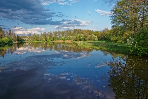 Árvores e céu espelhados em lagoa no Parque Nacional de Bialowieza — Fotografia de Stock