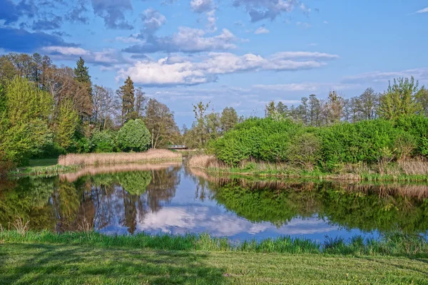 Árvores e céu refletidos na lagoa no Parque Nacional de Bialowieza — Fotografia de Stock