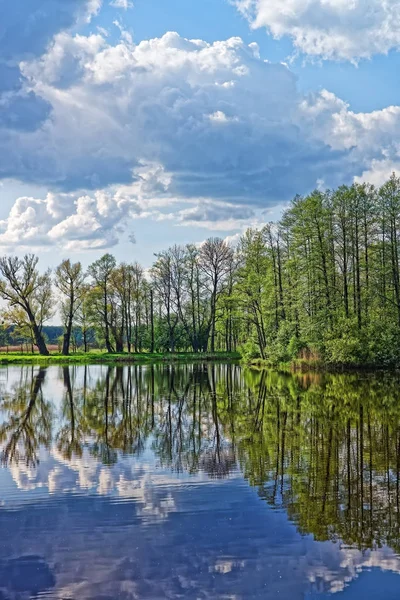 Árvores e céu refletindo na lagoa no Parque Nacional de Bialowieza — Fotografia de Stock