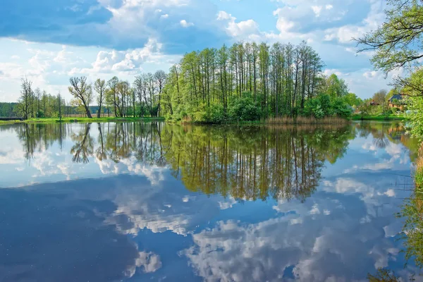 Árvores e céu refletidos na lagoa no Parque Nacional de Bialowieza — Fotografia de Stock