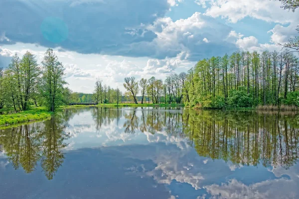 Árvores refletidas na lagoa no Parque Nacional Bialowieza, na Polônia — Fotografia de Stock