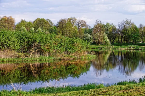 Árvores refletindo na lagoa no Parque Nacional Bialowieza, na Polônia — Fotografia de Stock
