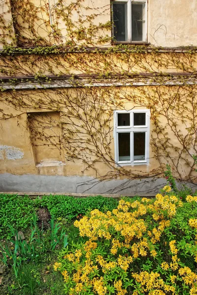 カルロヴィ ・ ヴァリ チェコ共和国での建物のファサード — ストック写真