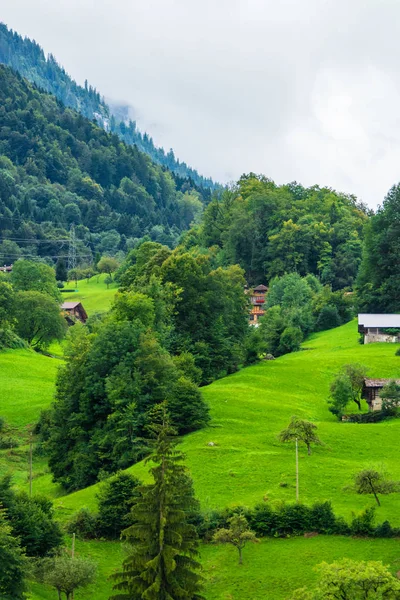 Шале в деревне Бриенц и гора Бриенцер Ротерн Берн Швейцария — стоковое фото