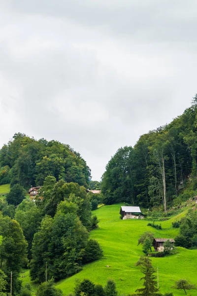 Chaty obec Brienz a hory Brienzer Rothorn Bern Švýcarsko — Stock fotografie