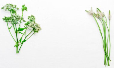 Çerçeve beyaz zemin üzerine yeşil alan çim ile