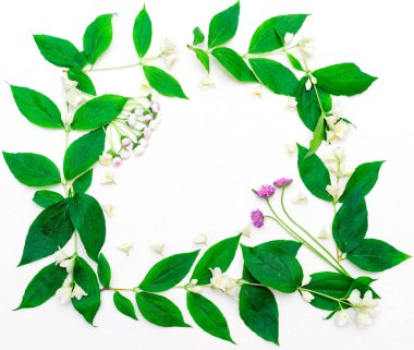 Yasemin çiçekleri ve yaprakları ve papatya ile çelenk