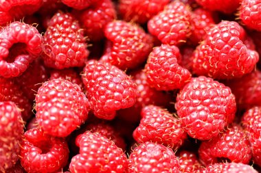 Taze ahududu arka plan yakın çekim