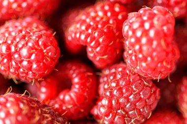 Taze lezzetli ahududu arka plan yakın çekim