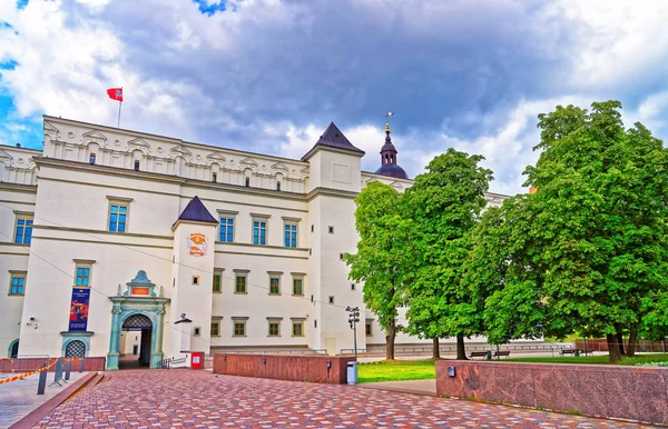 Kungliga slottet på Cathedral Square i gamla stan i Vilnius — Stockfoto