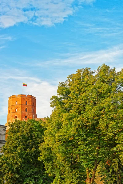 Вежі Гедиміна на підсапують старого центру міста у Вільнюсі — стокове фото