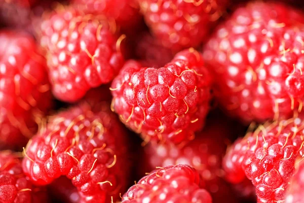 Frische köstliche Himbeere Hintergrund aus nächster Nähe — Stockfoto