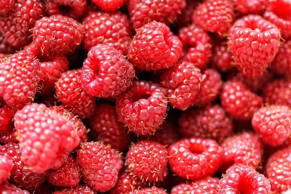 Frische Himbeeren Hintergrund Nahaufnahme — Stockfoto