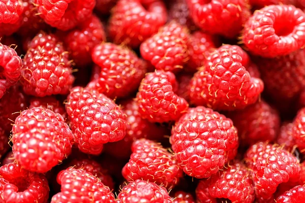 Frische Himbeeren Hintergrund aus nächster Nähe — Stockfoto