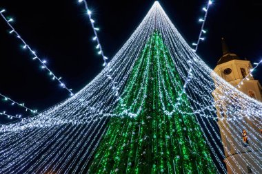 Noel ağacı ve katedral çan kulesi Vilnius Litvanya