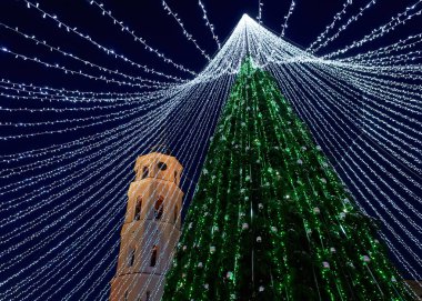Noel ağacı ve katedral çan kulesi Vilnius geceleri