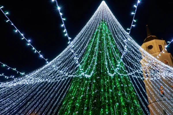 Árbol de Navidad y campanario de la Catedral de Vilna en Lituania —  Fotos de Stock