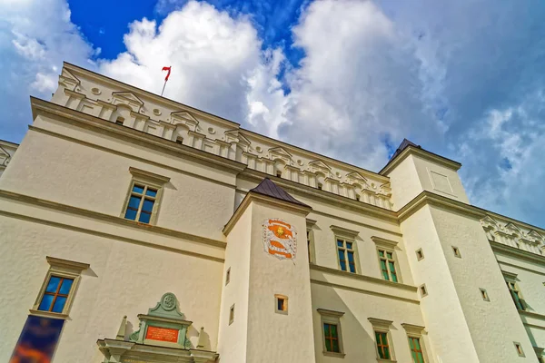 Kungliga palatset på Cathedral Square i gamla stan i Vilnius — Stockfoto