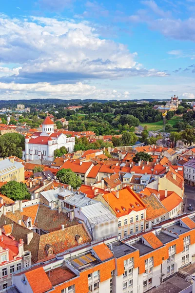 Techos en la Catedral de Theotokos en Vilna — Foto de Stock