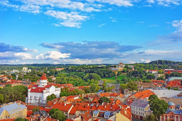 A Cathedral of Theotokos Vilnius háztetőkön — Stock Fotó