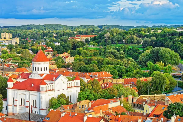 Rooftop sulla Cattedrale di Theotokos a Vilnius — Foto Stock