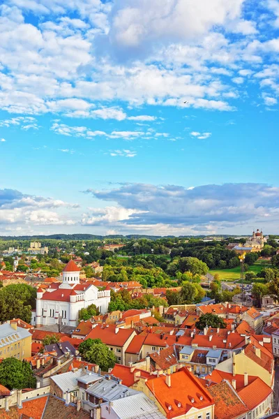 Tetto della Cattedrale di Theotokos a Vilnius — Foto Stock