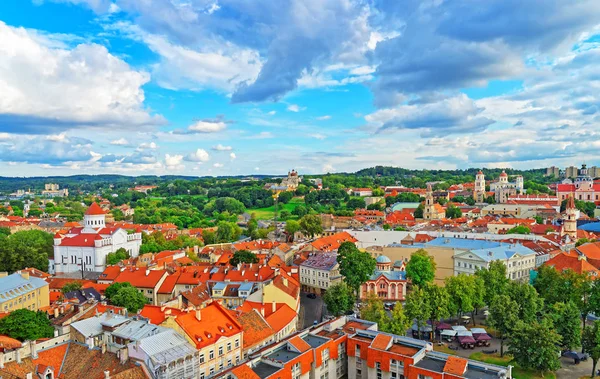 Tetto sulla Cattedrale di Theotokos a Vilnius — Foto Stock