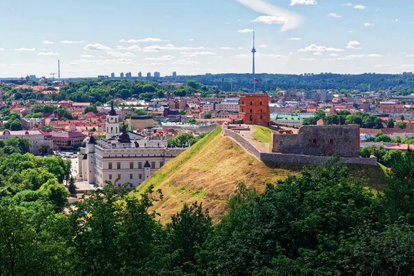 Torre e Castello Inferiore di Vilnius in Lituania — Foto Stock