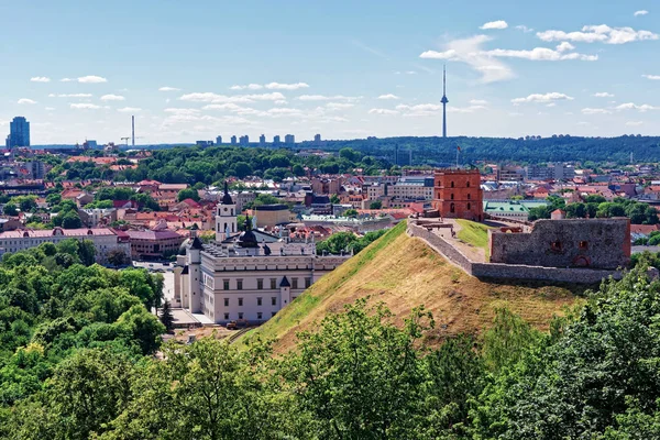 Torre e Castello inferiore Vilnius in Lituania — Foto Stock
