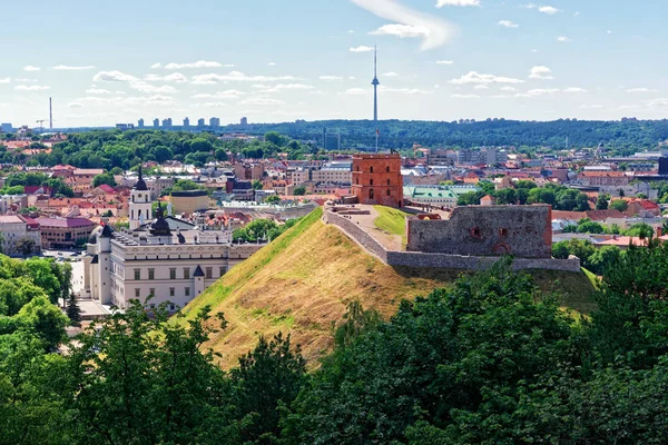 Castello inferiore e torre Vilnius di Lituania — Foto Stock
