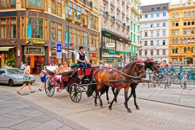 At fiacre adlı Stephansplatz Viyana