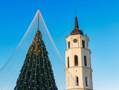 Noel ağacı ve katedral çan kulesi Vilnius Litvanya Advent