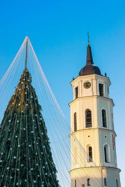 Vilnius Litvanya Advent Noel ağacı ve katedral çan kulesi