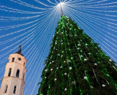 Noel ağacı ve katedral çan kulesi Vilnius Advent akşam