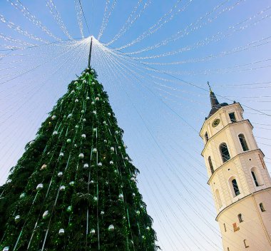 Noel ağacı ve katedral çan kulesi Vilnius Advent Litvanya akşam